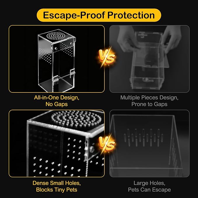 Jumping Spider Enclosure Starter Kit,Escape Proof Forest Terrarium | Praying Mantis Terrariums,Transparent Acrylic Complete Bug Habitat,All In One Arboreal Tarantula Cribs Cage,Insect Container