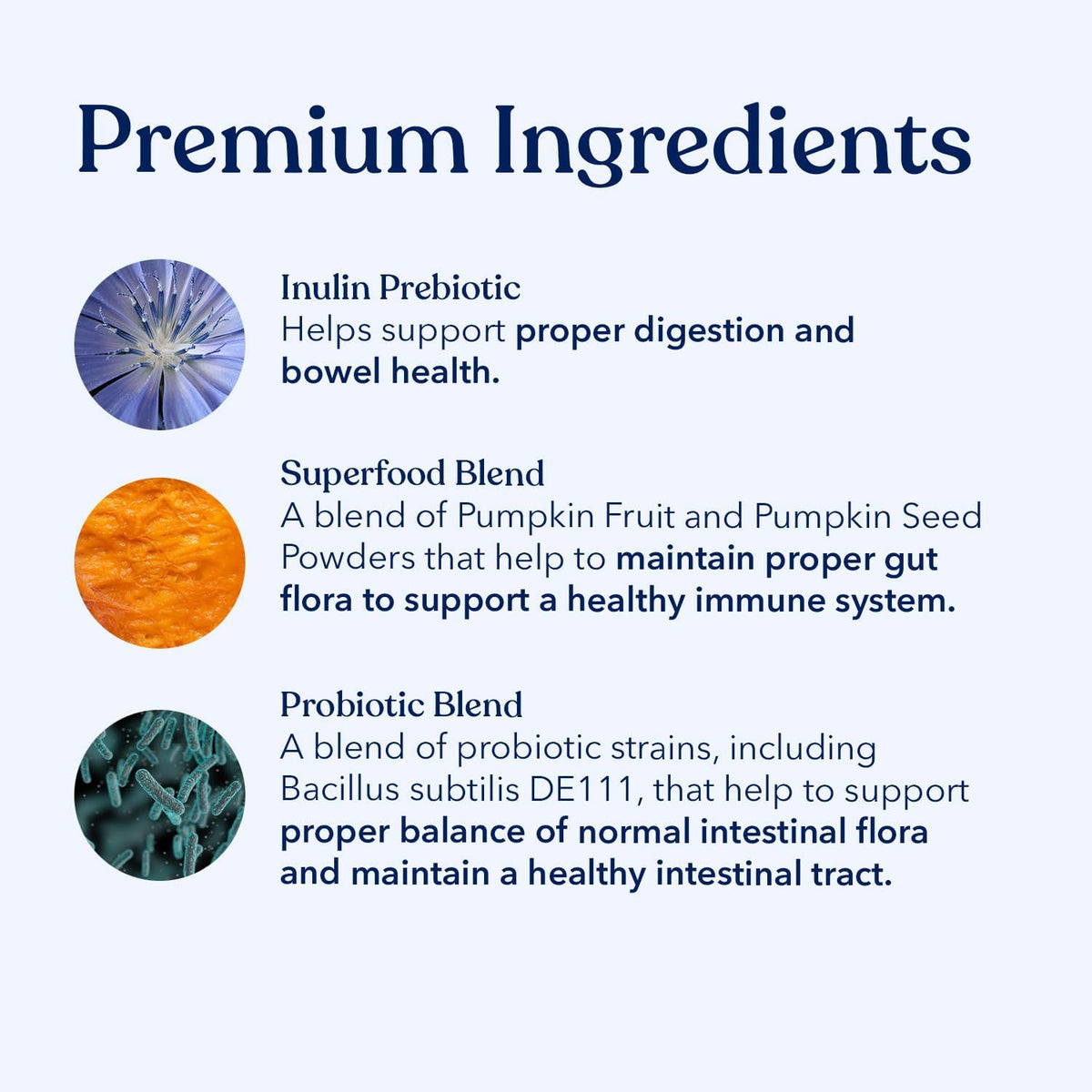 Honest Paws Probiotics for Dogs - Dog Digestion Gut Health Probiotic Powder with Prebiotic Made in The USA, Digestive and Immune Support - Digestive Enzymes with Pumpkin Flavor (30 Sticks)