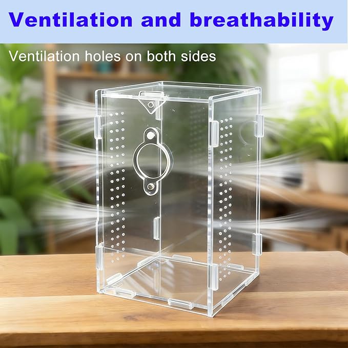 Acrylic Jumping Spider Enclosure,Reptile Enclosure,Bug Habitat, for Small Tree Dwelling Reptiles,Arboreal Tarantula Enclosure, Spider Terrarium Kit,Plastic Terrarium(4.7" X 4.7" X 8")