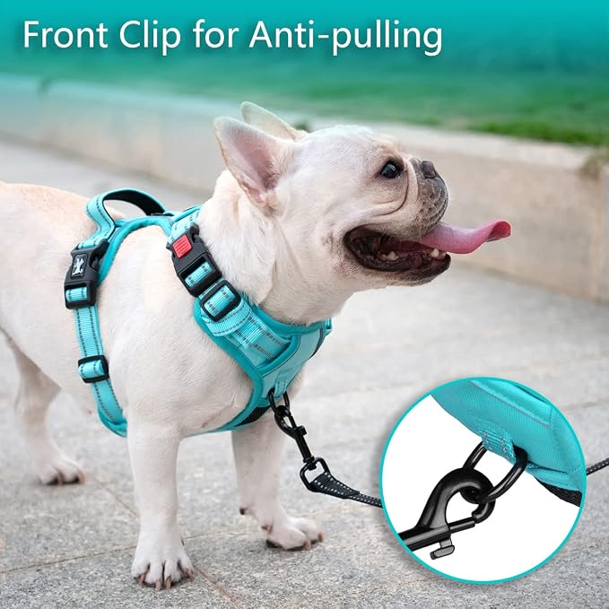 PoyPet No Pull Dog Harness, Reflective Vest with 2 Leash Clips & Handle | Lockable Neck Release Buckle, No Choke, Adjustable, Soft Padded, for Walking Training, Mint Blue Matching Trim, Medium