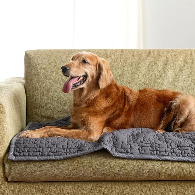 PAULATO BY GA.I.CO. Waterproof Blanket – 24x86” Changing Absorbent Pad for Incontinence – Machine Washable Stain-Resistant Protector for Couch Sofa or Bed – Reusable Waterproof Cover - Dark Grey