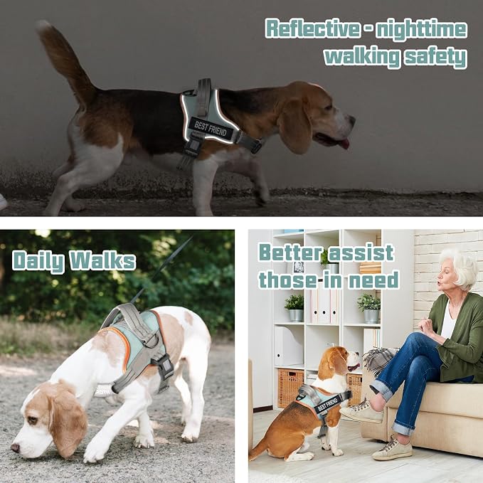 AUROTH Dog Harness for Large Dogs No Pull Tactical Harness and Leash Set | with Leash Clips, LED light clip, Breathable Mesh Padded No Choke, Easy Walking and Training, Macaron Blue, Large