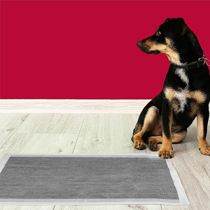 Nature's Miracle P-98235 NM Advanced Training Pads 4/25 CT