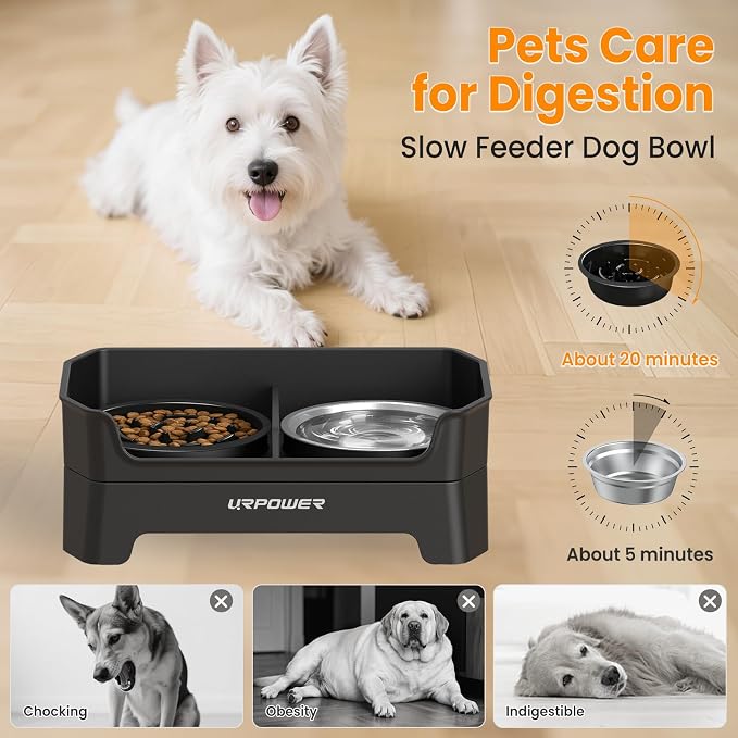 URPOWER 3-in-1 Elevated Dog Bowls with Slow Feeder & Licking Plate | 4 Height Adjustable Raised Stand with 2 Stainless Steel Food Bowls & Licking Plate for Small, Medium & Large Dogs