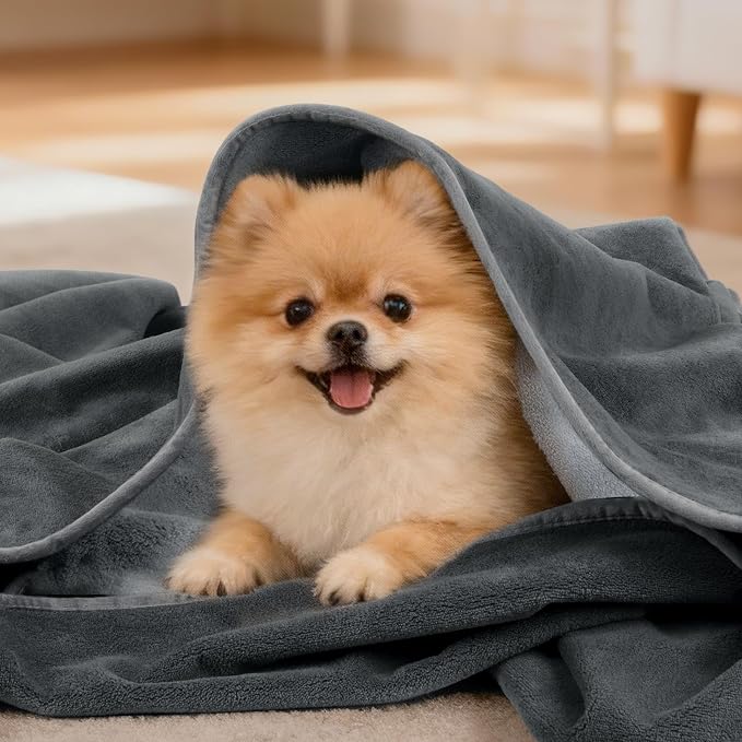 LOOBANI Waterproof Dog Blanket for Couch, Soft Couch Cover 50" x 60", Grey | Pet Blanket for Medium Large Dogs, Double Side Liquid-Proof, Reversible Flannel, Ideal for Sofa, Travel, Pet Hair Resistant