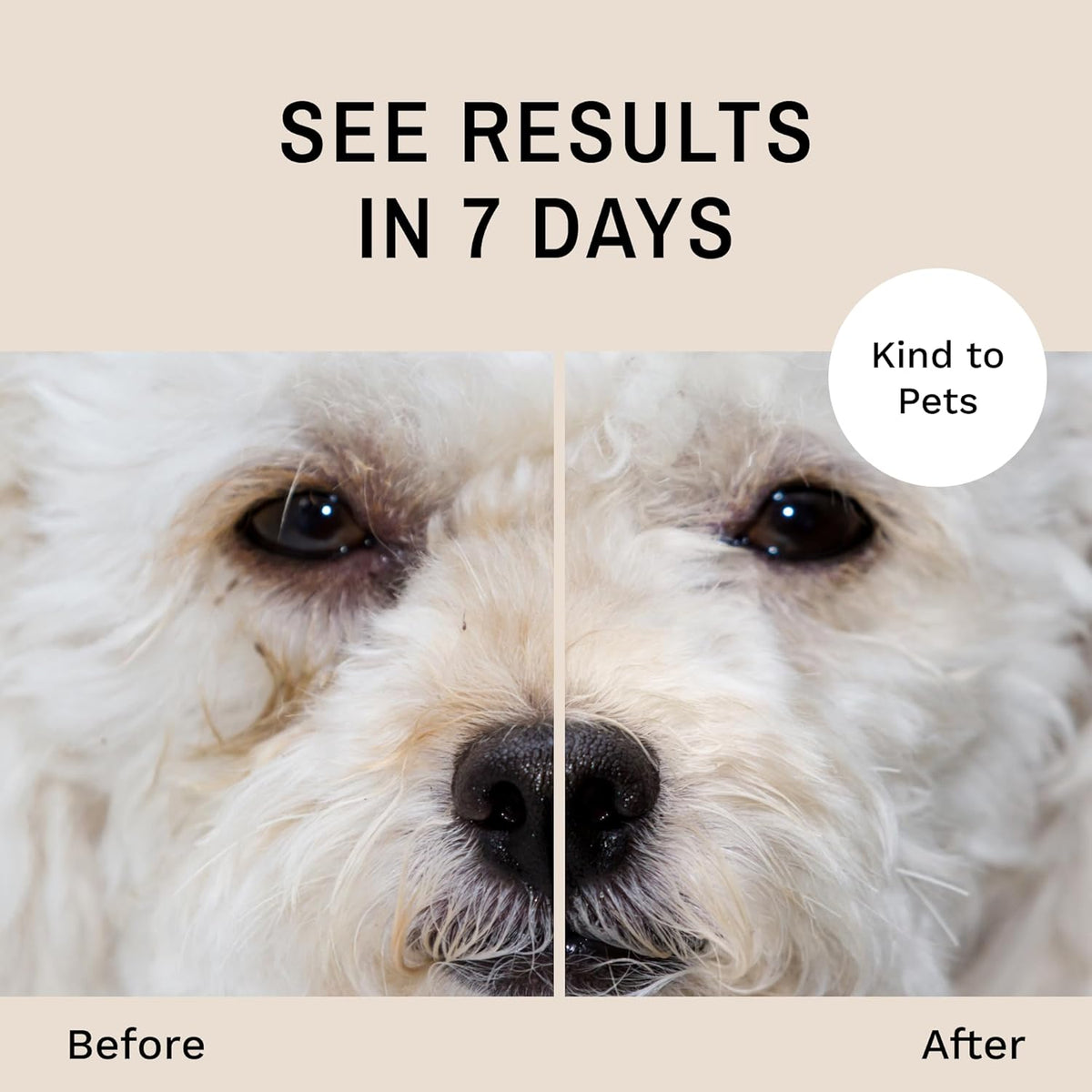 Eye Envy Dog Tear Stain Remover Starter Kit with ProPowder Brush | Stain Solution, Applicator Pads, Stain Powder and Large Applicator Brush | Lasts 30-45 Days