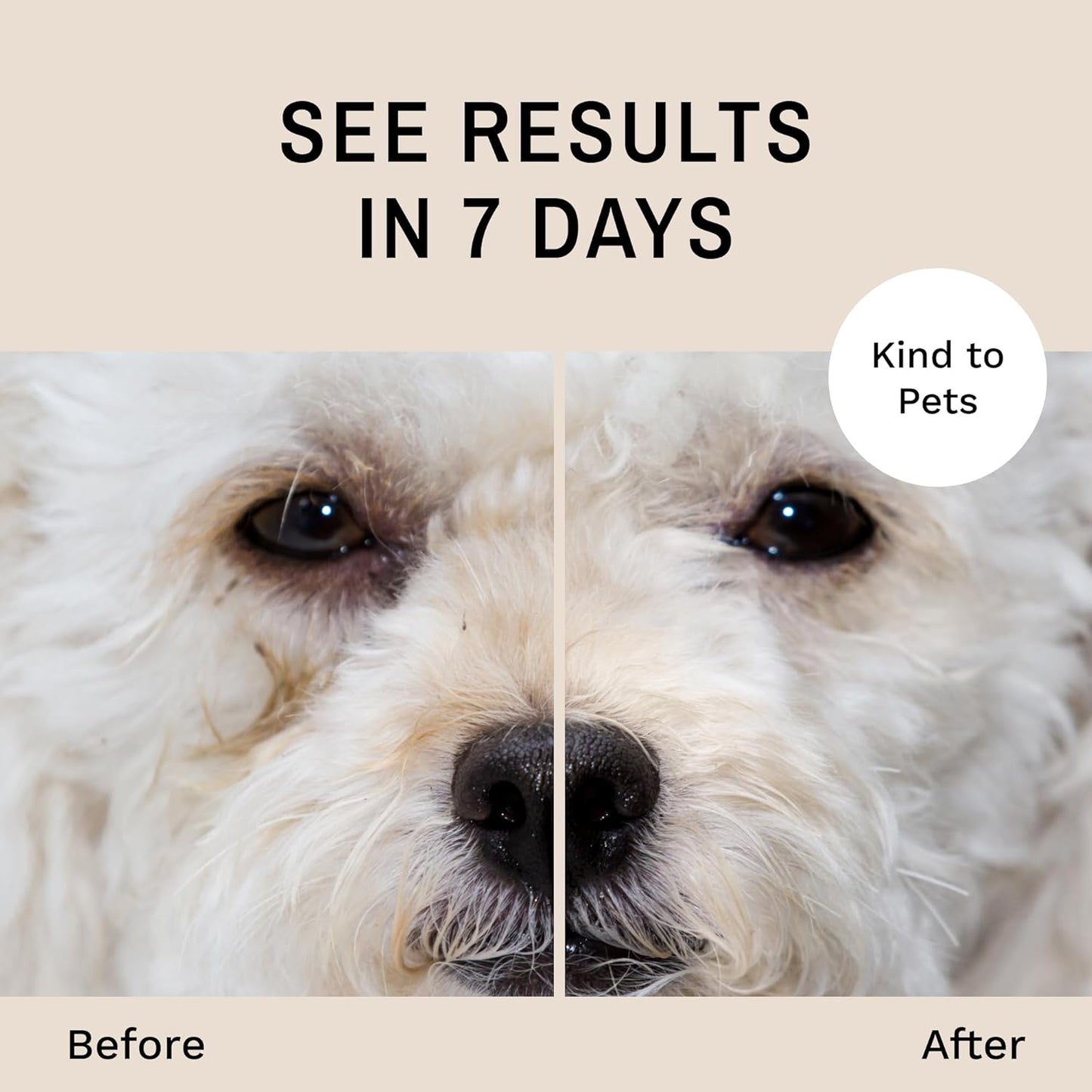 Eye Envy Dog Tear Stain Remover Starter Kit. 100% Natural, Safe. Contains: Stain Solution, Applicator Pads, and Stain Powder. Tear Stain Treatment Kit. Lasts 30-45 Days. Made in USA