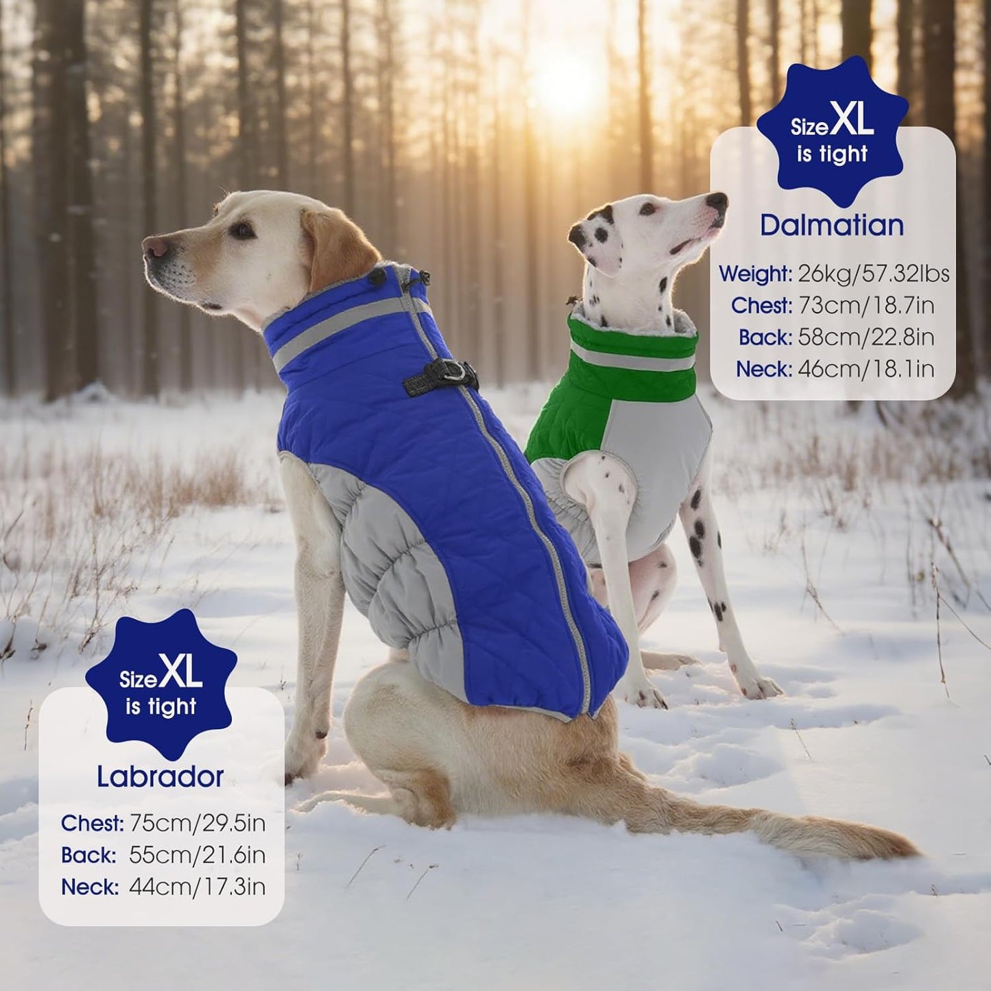 FUAMEY Dog Coat for Small Dogs,Waterproof Dog Winter Jacket with Harness Built in Puppy Cold Weather Coats Reflective Pet Vest with Zipper Warm Fleece Dogs Snowsuit Windproof Blue S