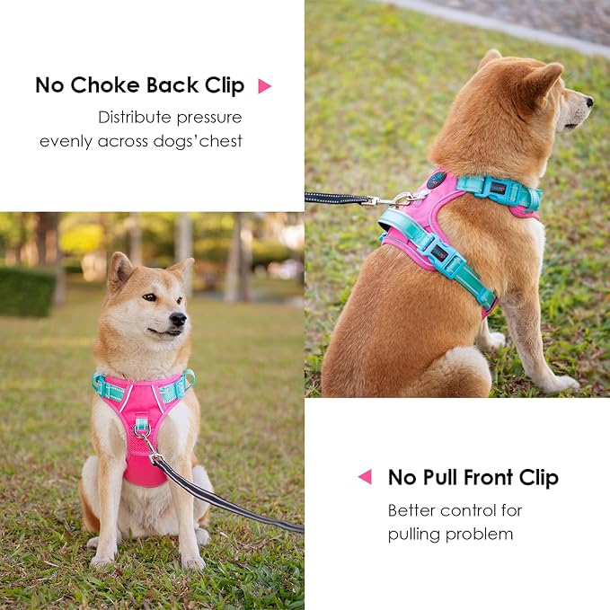 No Pull Dog Harness, Unique Colors Reflective Adjustable Dog Vest, with Soft Training Handle Metal Clips for Small Medium Large Dogs (Pink Base & Green Straps,S)