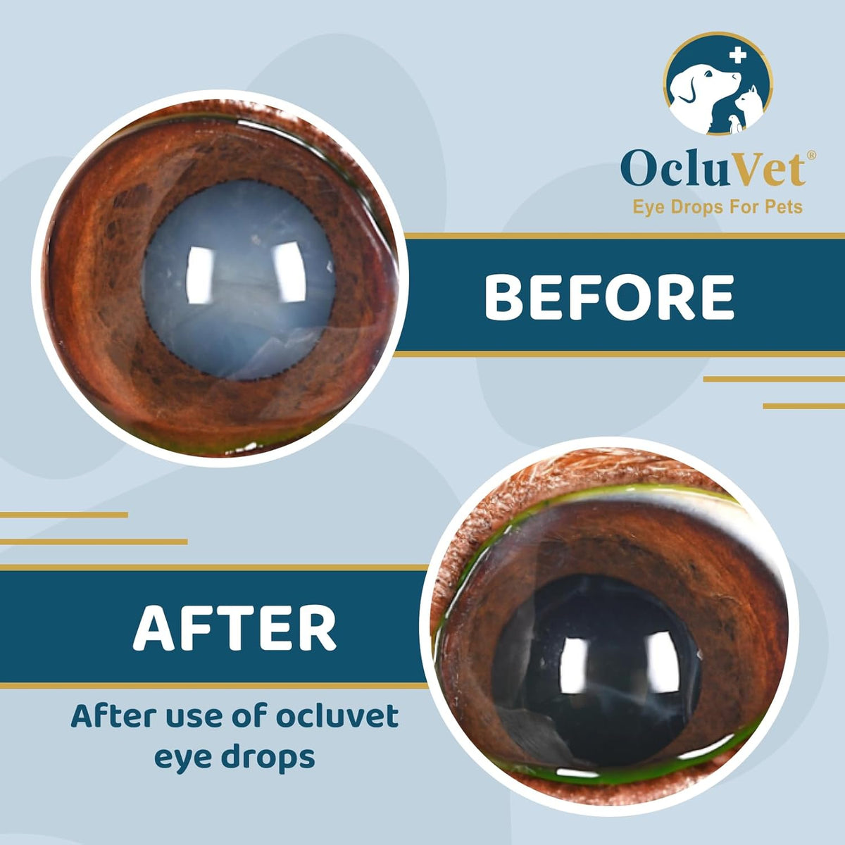 Eye Drops for Pets | Clinically Studied Antioxidants for Pets with Cataracts | Made in The USA | Includes 2% N-Acetyl-L-Carnosine (NAC) | 16mL