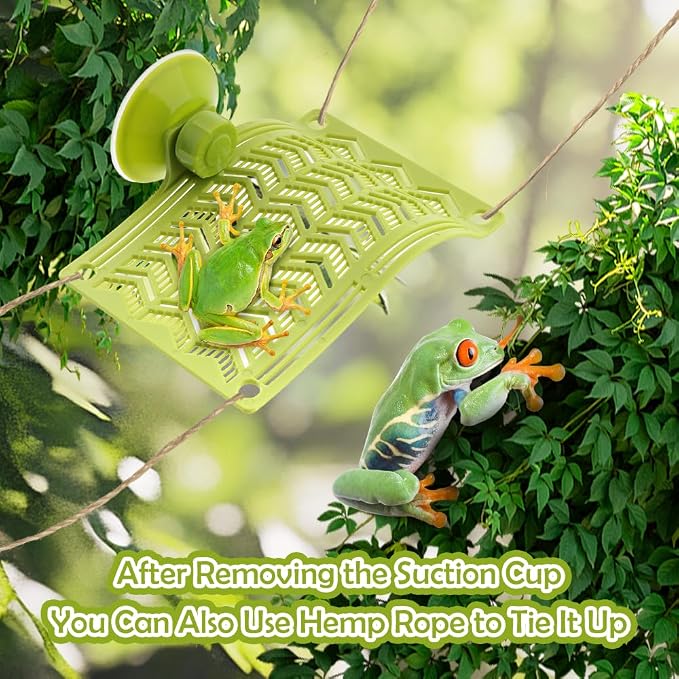 1 Pack Plastic Frog Hammock with Suction Cup Tree Frog Suction Platform Reptile Terrarium Decoration for Toad African Dwarf Frog Tree Frog