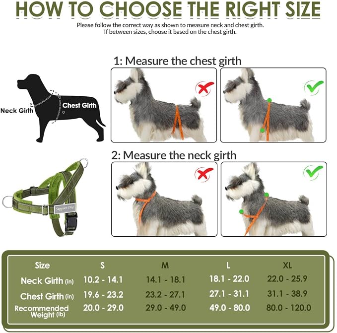 SlowTon No Pull Dog Harness with Front Clip - Heavy Duty, Soft Padded | Neck & Chest Adjustable, Tactical Pet Vest and Leash Set for Large Medium Sized Dogs, for Easy Walk & Training, Green XL