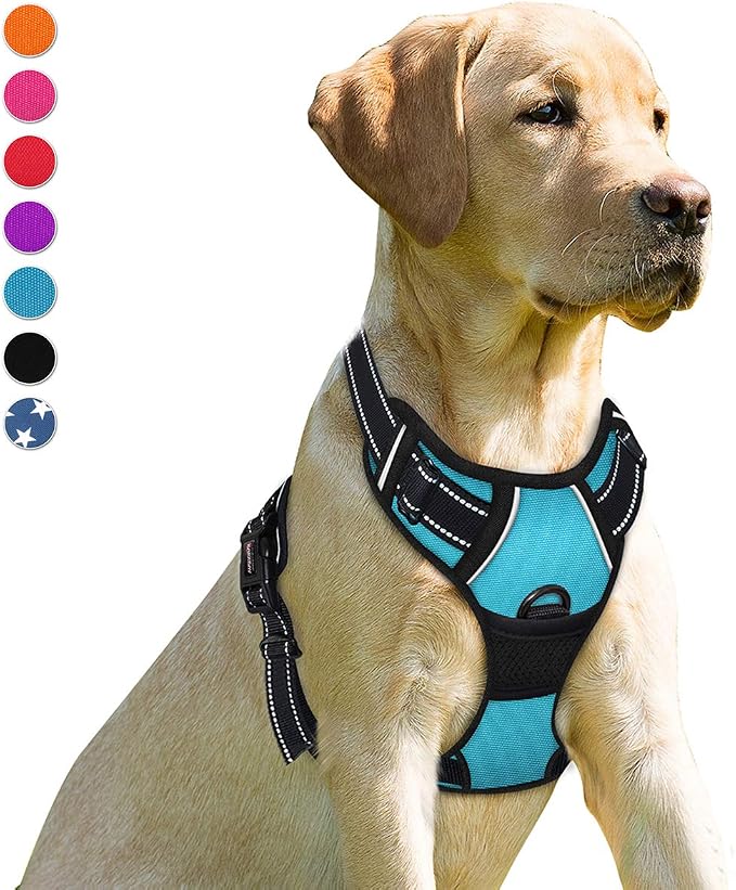 BARKBAY Dog Harness No Pull for Small Sized Dog Front Back Clips,Dog Vest | Soft Padded No Choke With Handle,Easy On&Off,Adjustable Reflective For Walking Training Running(Blue,S)