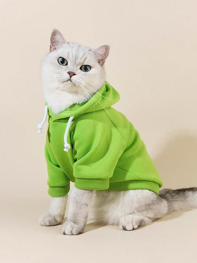 QWINEE Basic Dog Hoodie Sweatshirt Puppy Sweater Warm Cat Costumes Pet Clothes for Chihuahua Puppy Kitten Small Medium Dogs Green X-Large