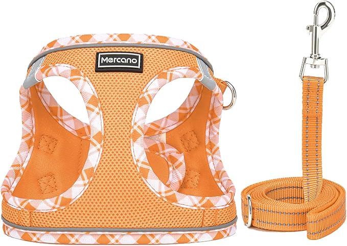 Mercano Soft Mesh Dog Harness and Leash Set, No-Chock Step-in Reflective Breathable Lightweight Easy Walk Vest Harnesses with Safety Buckle for Small Dogs, Cats (Orange, L)