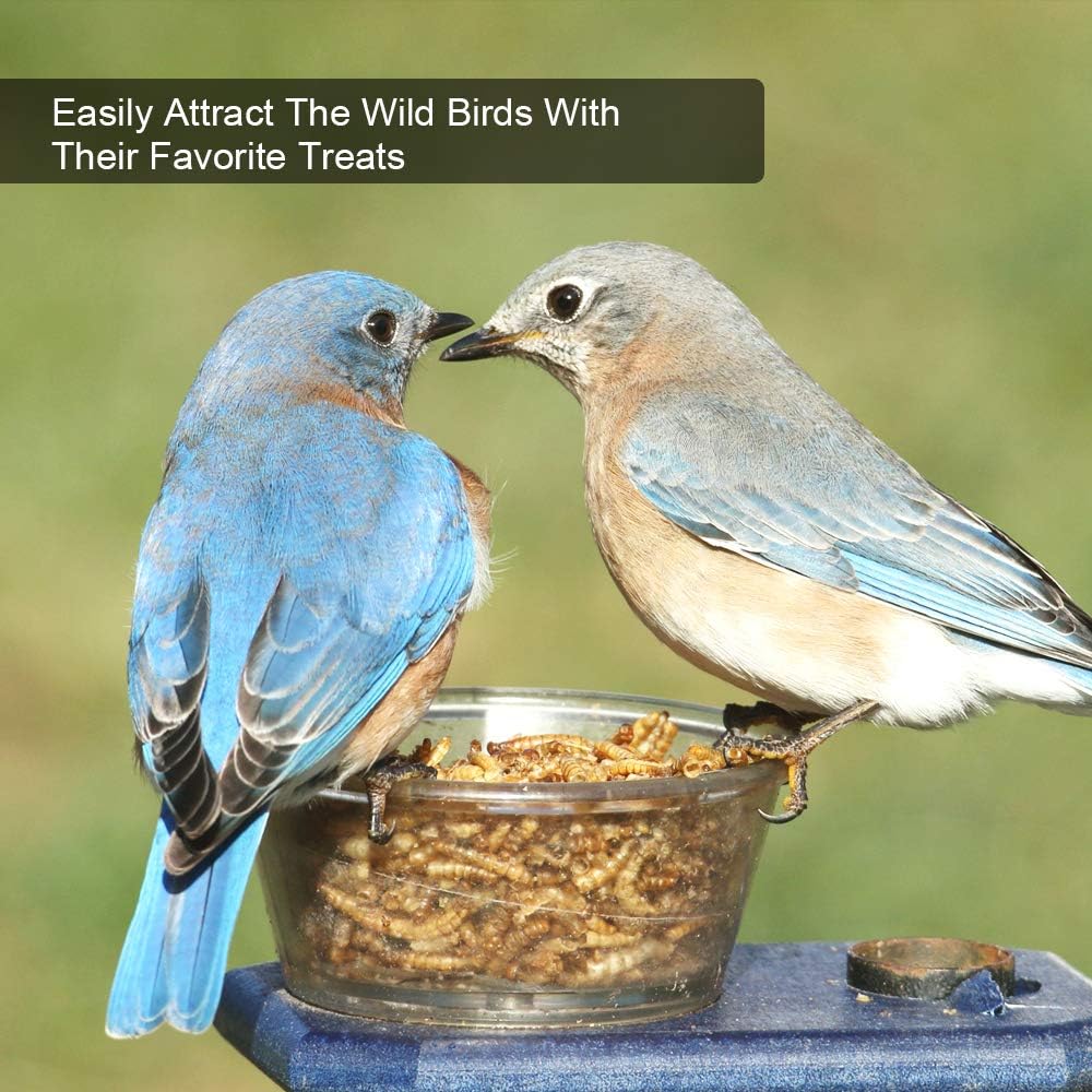 Bulk Dried Mealworms, High-Protein Dried Mealworms 44Lbs, 100% Non-GMO Mealworm Treats for Birds, Chickens, Turtles, Fish, Hamsters and Hedgehogs All Natural Animal Feed