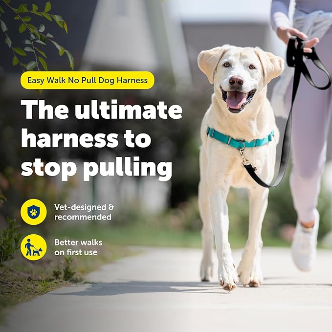 PetSafe Easy Walk Harness, No Pull Dog Harness, Large, Teal | Patented Martingale Loop Gives Gradual Shoulder Pressure to Stop Pulling, Front-Chest Leash Clip Prevents Gagging