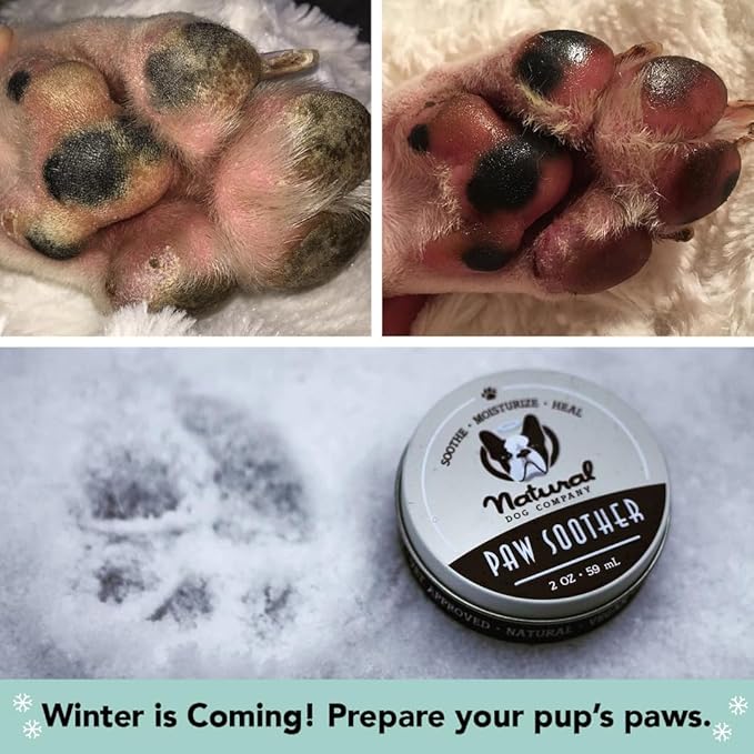 Natural Dog Company Paw Soother Balm & Wax - Dog Paw Balm & Moisturizer for Dry, Cracked Paw Pads, Helps Moisturize & Condition Winter-Worn Paws, Coconut Oil & Calendula, Daily Paw Care, 2 oz Stick