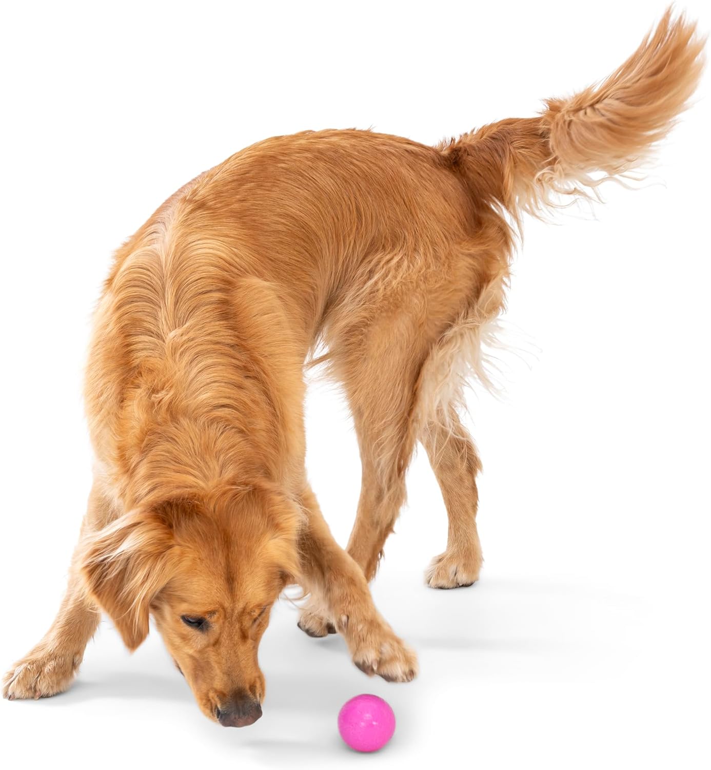 WEST PAW Boundr Ball Dog Fetch Toy – Bouncing Toys for Dogs, Fetch, Catch, Chewing, Play – Floatable, Recyclable Balls – Small Dandelion Yellow/Hot Pink 2-Pack