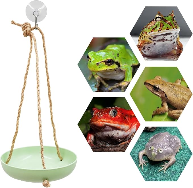 Plastic Frog Swing Toys with Suction Cup, Frog Habitat Platform, Reptile Decorations for Terrarium, Frog Tank Accessories, Terrarium Decor for Tree Frog, African Dwarf Frog, Frog and Toad