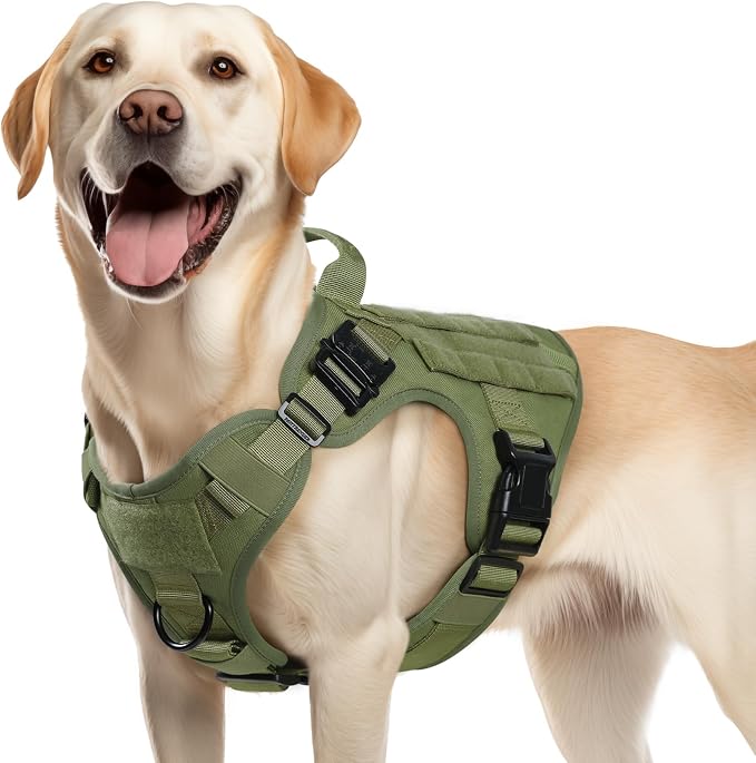 rabbitgoo Tactical Dog Harness for Medium, Heavy Duty Military No Pull Vest | Sturdy Metal Buckles, 5 Adjustments, Molle System, Powerful Pullers for Training, Hunting, Outdoor, Green, Medium