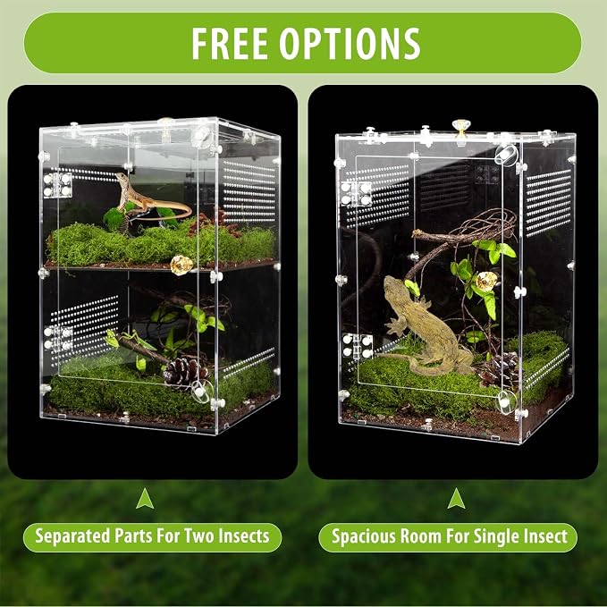 Large Jumping Spider Enclosure, 2 in 1 Ventilated Reptile Terrarium for Praying Mantis,Arboreal Tarantula,Crested Gecko, 12"*8"*8" Acrylic Habitat with Removable Divider,Front Opening & Top Lid
