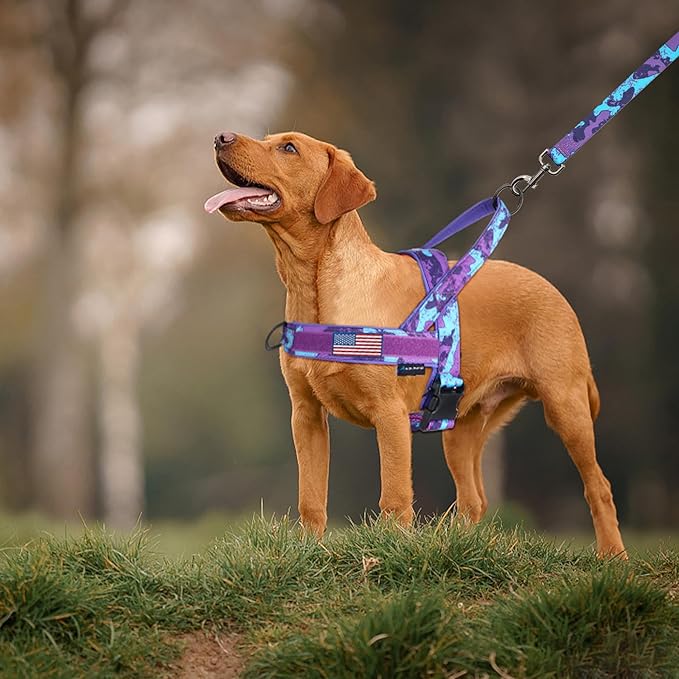 Annchwool No Pull Dog Harness with Padded Handle+5 Ft Leash,Escape Proof and Quick Fit to Adjust Dog Harness,Easy for Training Walking for Small & Medium and Large Dogs(Camo Purple Set,M)