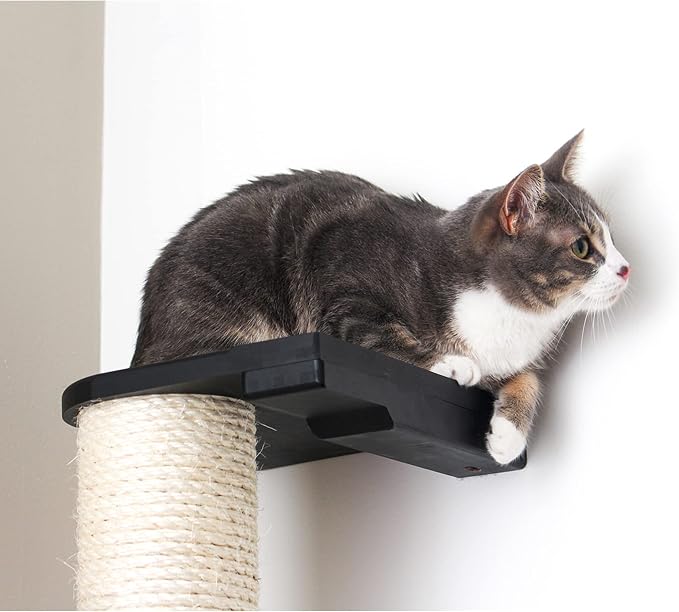 Catastrophic Creations Cat Scratching Post – 2-Tier Cat Wall Scratcher - Bamboo and Sisal Cat Scratcher Post – Durable Cat Scratching Posts for Indoor Cats – Modern Cat Furniture
