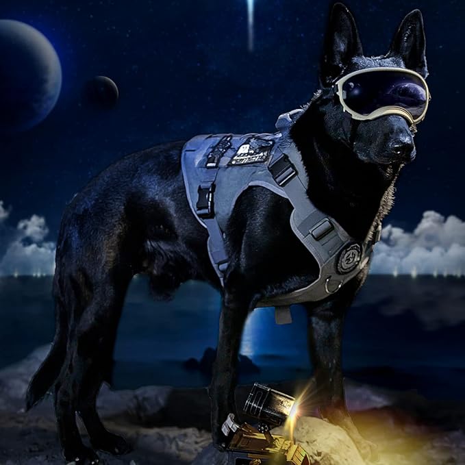 OneTigris Tactical Dog Harness Vest No-Pull Service Dog Vest for Small Dogs | 1000D Pullable Nylon, with Control Handle and Hook & Loop Panels, Easy On & Off, Adjustable for Walking Training Gray S