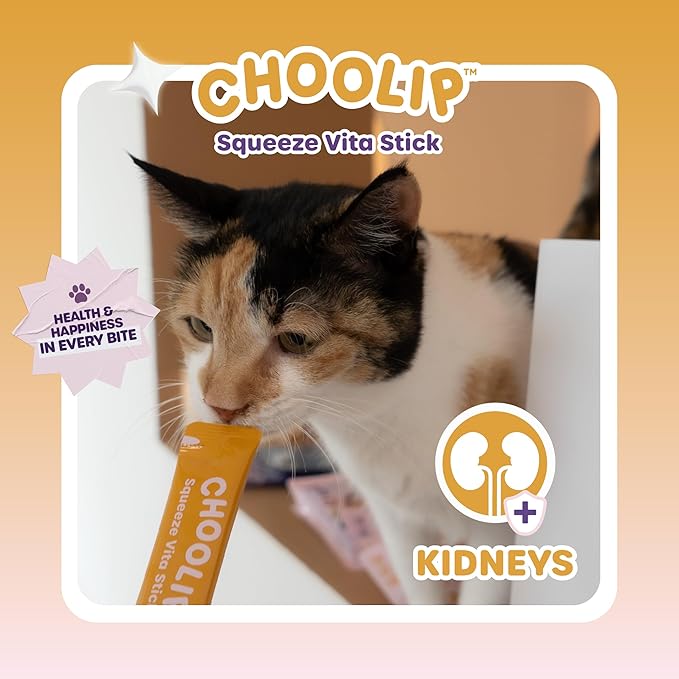 Choolip Squeeze Vita Stick Lickable Cat & Dog Treats – 14 Sticks (2×7 Value Bundle) Kidney Support, Creamy Grain-Free Puree with CoQ10, Omega 3 & Vitamin E for Hydration & Renal Health