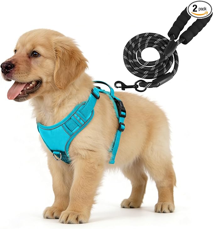 YooxArmor No Pull Tactical Dog Harness and Leash Set for Small Dogs,Blue | Adjustable Pet Vest Harness, Reflective Easy Control for Night Walking Training