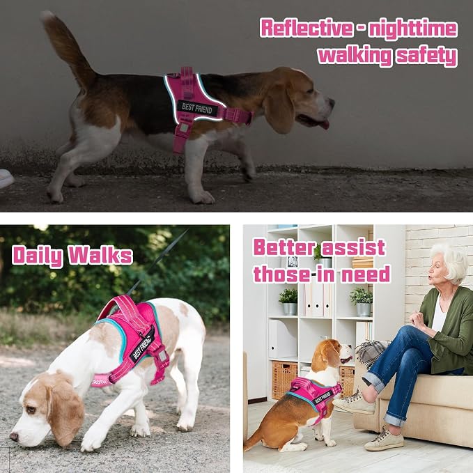 AUROTH Dog Harness and Leash Set for Medium Sized Dog, No Pull Dog Vest | with 5.25FT Dog Leash, Breathable Soft Padded, No choke, Reflective Tactical, Easy to Put on & Take Off - Rose Red Medium