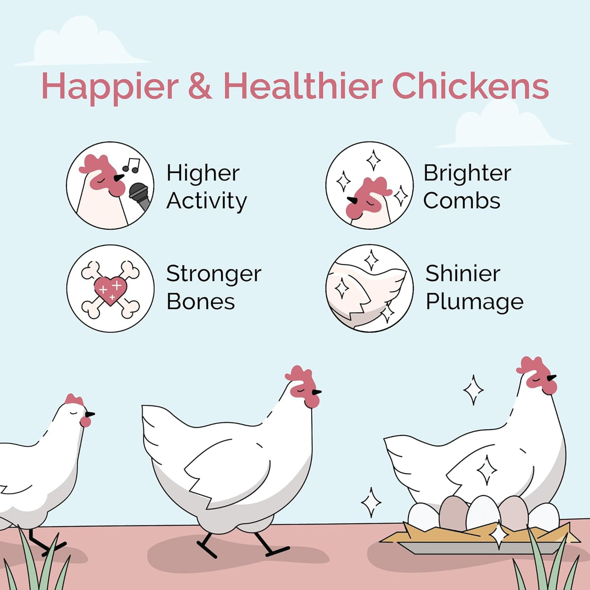 Organic Chicken Feed – Layer Pellet, Non-GMO, USA Grown, 16% Protein, Corn-Free, Soy-Free, Non-Medicated Feed for Chickens, 46 lbs