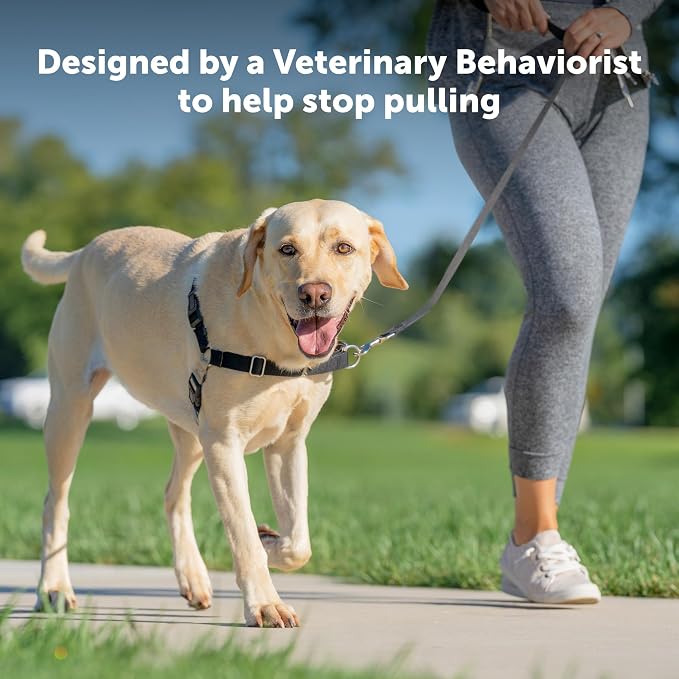 PetSafe Easy Walk No-Pull Dog Harness - Ultimate Harness to Help Stop Pulling-Pull-Free Walks-Take Control & Teach Better Leash Manners-Patented Martingale Loop Design-Gray,Medium/Large (Pack of 3)