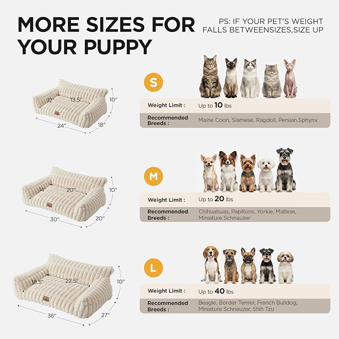 Joydeco Cat Couch for Pets, 24 inch Plush Pet Sofa, Cat Bed for Indoor Cats with Removable Washable Cover, Supportive Pet Sofa, Cream