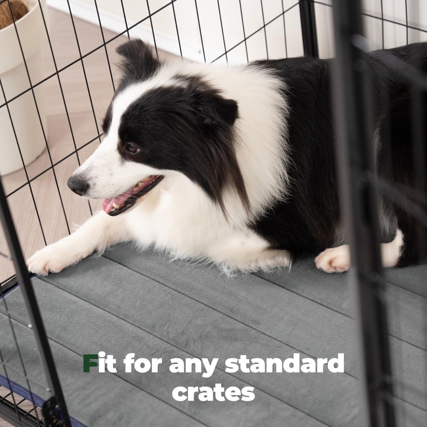 BALANCE Dog Crate Pad, Dog Foam Crate Mat Kennel Pad, Washable Water-Resistant Pet Bed Flat Dogs Cage Mat for XX-Large Dogs, 2 Packs