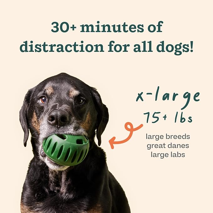 WOOF Starter Pack Dog Treat Toy for XL Dogs 75 lbs & Up | Long-lasting enrichment kit, Pupsicle toy included, reusable treat mold, chicken Pops, DIY frozen treats