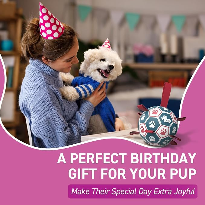 QDAN Dog Balls, World Cup Soccer Ball with Straps, Durable Herding Balls for Small Medium Pet, Puppy Birthday Gifts, Dog Water Toy, Pet Toys Puppy Ball (6 Inch) (Pack of 2)