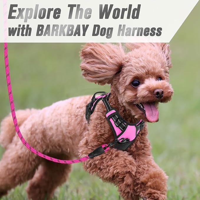 BARKBAY Dog Harness No Pull for Small Sized Dog Front Back Clips,Dog Vest | Soft Padded No Choke With Handle,Easy On&Off,Adjustable Reflective For Walking Training Running(Pink,XS)