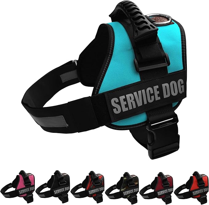 Service Dog Vest Harness – Reflective Service Animal Vest, No-Pull Harness with Handle & Mesh Padding – Sizes XXS-XL for Puppies – 2 Removable Service Patches Included (Large, Blue)