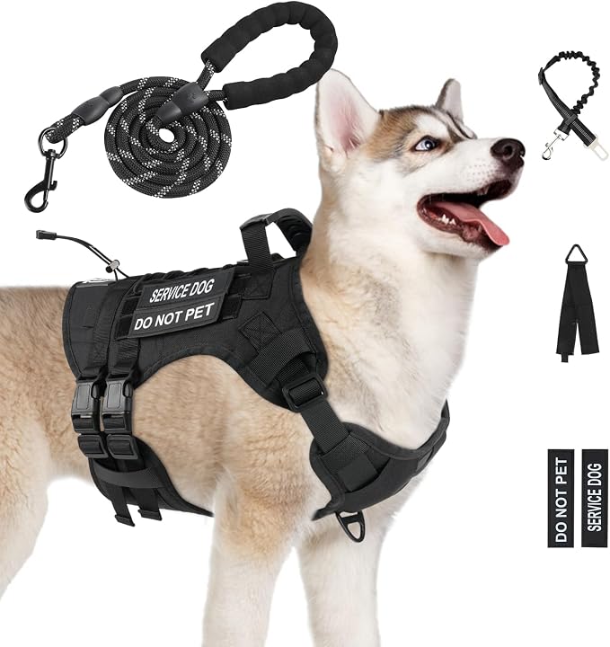 No Pull Tactical Dog Harness Medium Sized Dog, Service Dog Vest, M, Black | Tactical Dog Vest Harness and Leash Set, Adjustable Military Service Dog Harness with Handle for Medium Large Dogs
