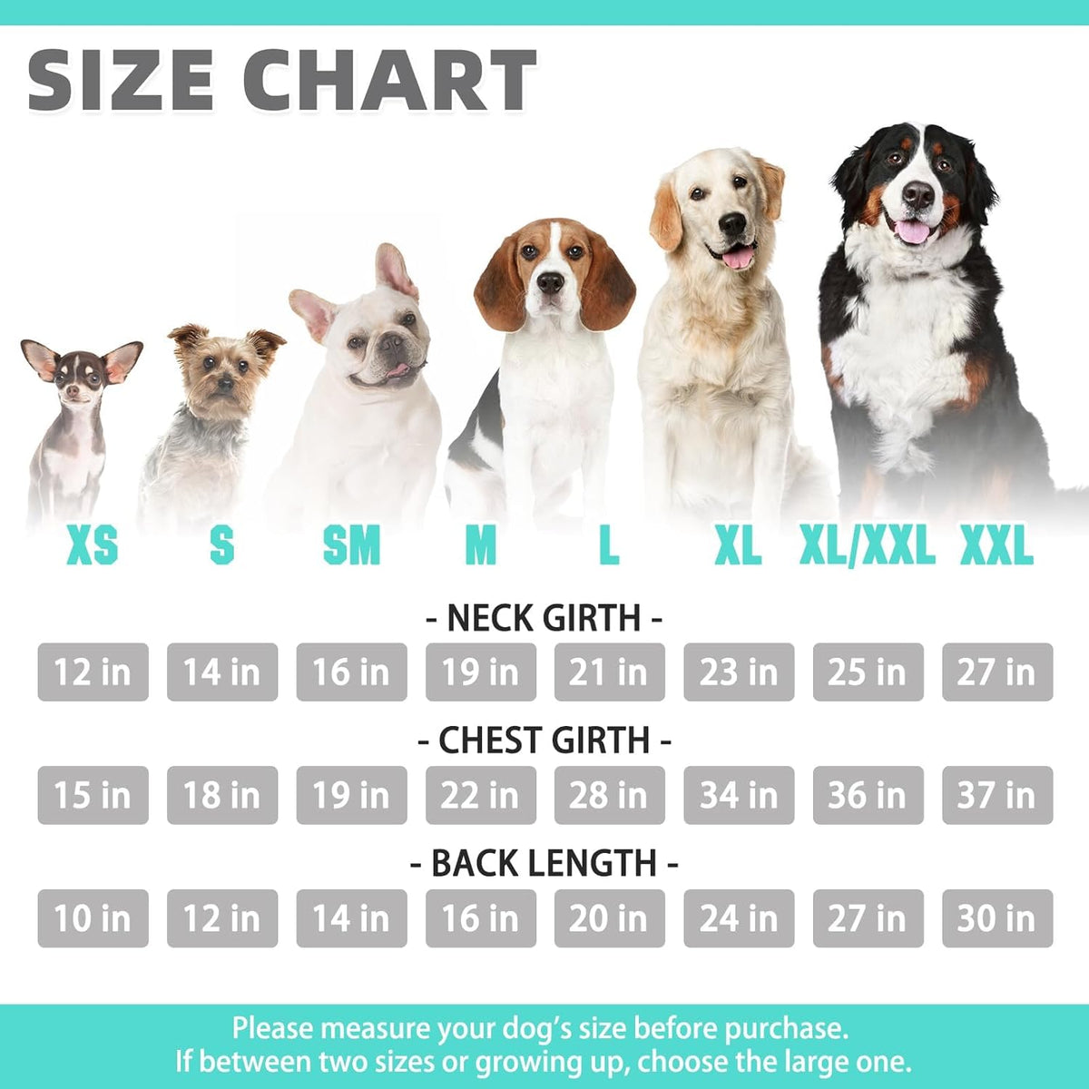 KOOLTAIL Basic Dog Hoodie - Soft & Warm Dog Hoodie Sweater with Leash Hole and Pocket, Dog Winter Coat, Cold Weather Clothes Sweatshirt for Small Medium Large Dogs Puppy Cat Boys Girls Lake Blue SM