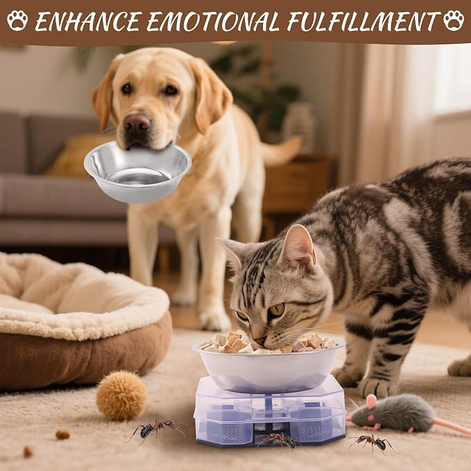 Wellness Pet Food Tray for Ant, Cat Food Bowls Tray Dog Feeding Station Outdoor Feeder Plastic Shelf with Lip for Small Dogs Feral Cats
