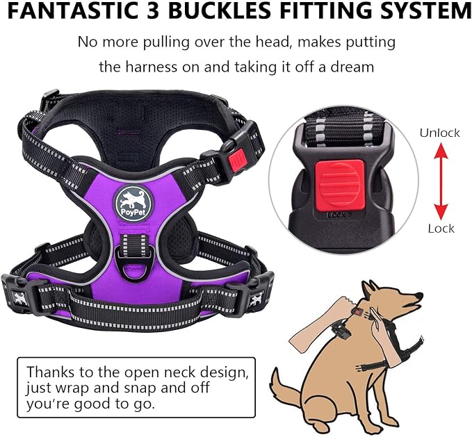 PoyPet No Pull Dog Harness Small with Front Clip & Neck Release Buckle | No Choke, Adjustable Vest, Reflective, Back Clip, Lockable, Soft Padded, Easy Control Handle for Walking Training, XS, Purple