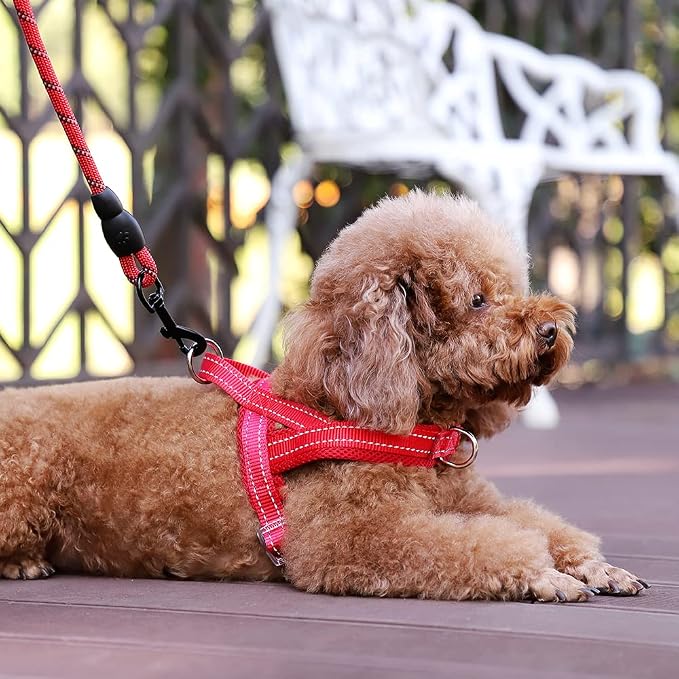 Plutus Pet No Pull Dog Harness for Small Dogs, Breathable Mesh Padded | Adjustable Reflective with Handle, Escape Proof, Quick Fit Pet Vest, Front Clip, for Training and Walking, Red, S