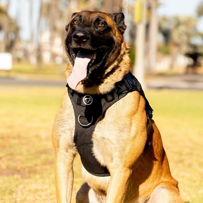 WOLFpak Tactical Dog Vest Harness No Pull Breathable MOLLE(Alpha Black, Large)