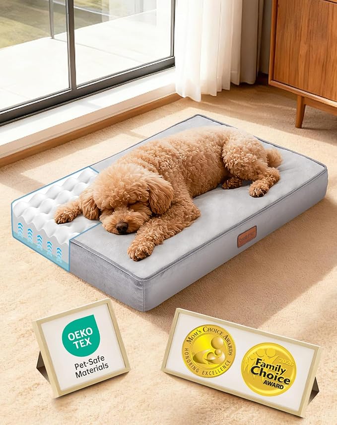 OhGeni Orthopedic Waterproof Dog Bed for Small Dogs, Machine-Washable Removable Cover in Easy-Clean Fabric, Reversible Memory Foam & Easy-Carry Handle, Suitable for Crate, 24 inch (Gray)