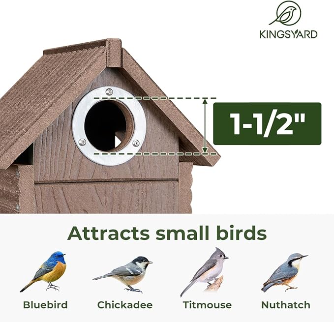 Kingsyard Recycled Plastic Bird House for Outdoors - Weatherproof Nesting Box with Clear View Panel & Predator Guard for Bluebird Wren Swallow Finch, Brown