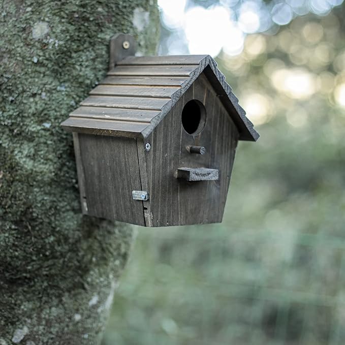 Bird House Black Birdhouse Bird Houses for Outside with Pole Wooden Bird House for Finch Bluebird House Cardinals Hanging Birdhouse Clearance Garden Country Cottages B8-2