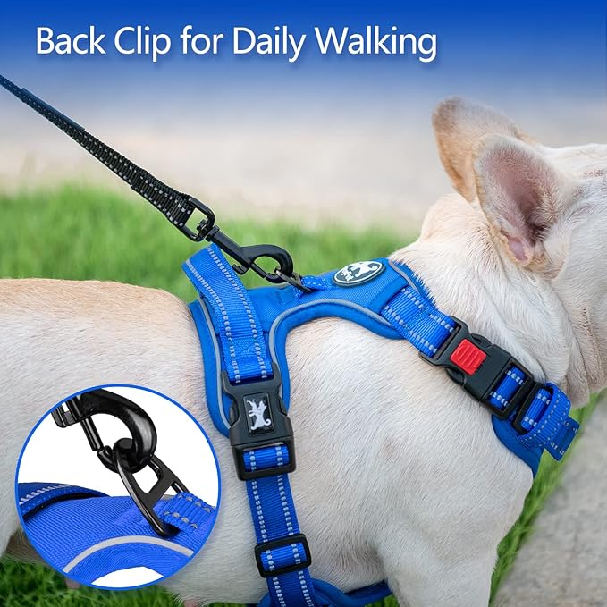 PoyPet No Pull Dog Harness, Reflective Vest with 2 Leash Clips & Handle | Lockable Neck Release Buckle, No Choke, Adjustable, Soft Padded, for Walking Training, Royal Blue, Large